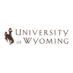 University of Wyoming Logo: TeamDynamix Client