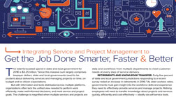 Issue Brief IT Maturity in the Public Sector