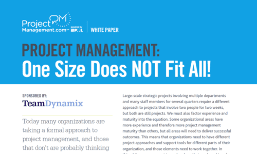 Project Management - One Size Does NOT Fit All - ppm lp