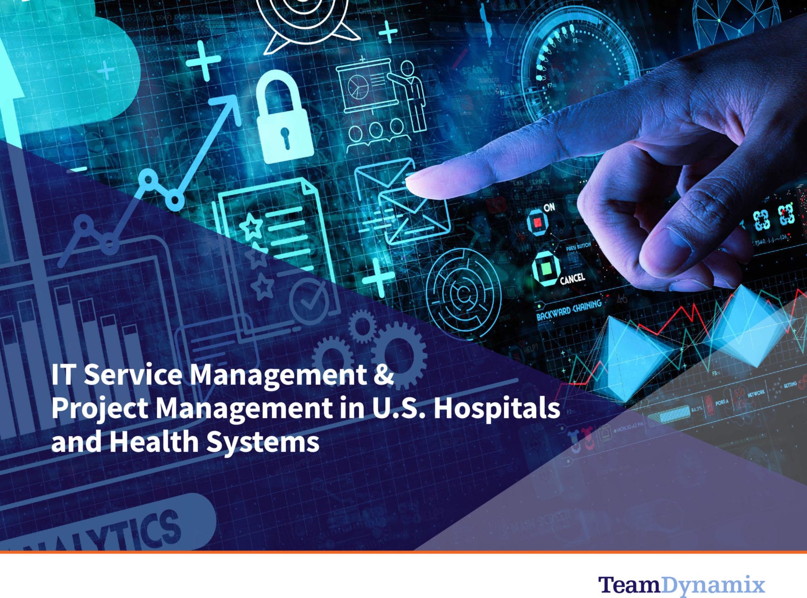 IT Service Management & Project Management in Hospitals & Health Systems: eBook Download