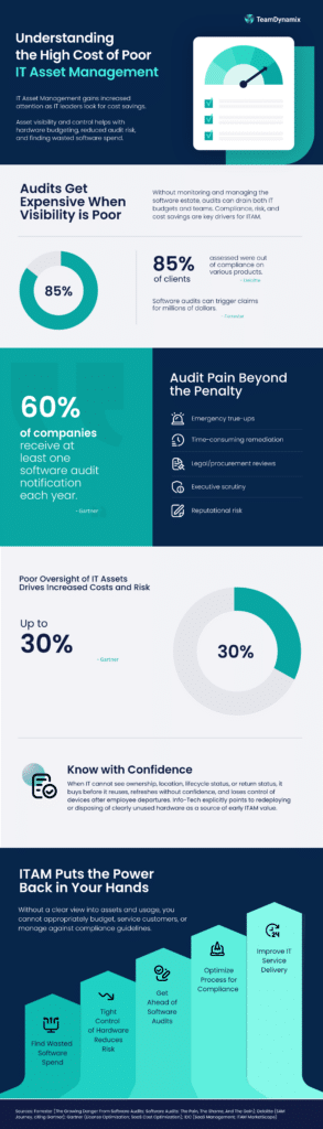 Infographic - High Cost of Poor ITAM