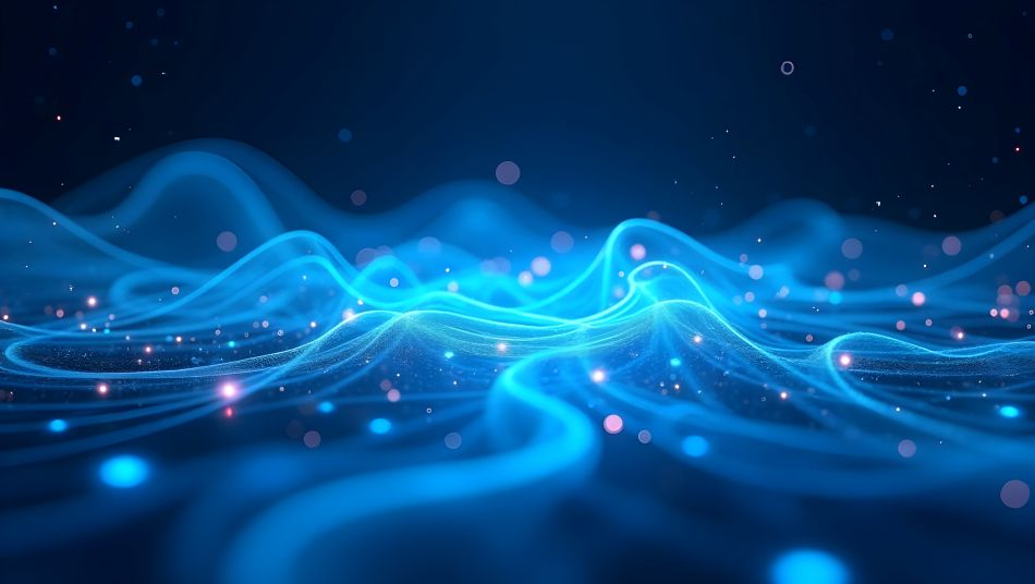 Embracing Enterprise Service Management in the Public Sector